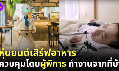 คาเฟ่หุ่นยนต์ ผู้พิการ