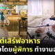 คาเฟ่หุ่นยนต์ ผู้พิการ