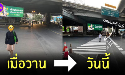 ทางม้าลายเลือน เพลินจิต