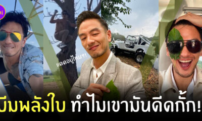 บีมพลังใบ