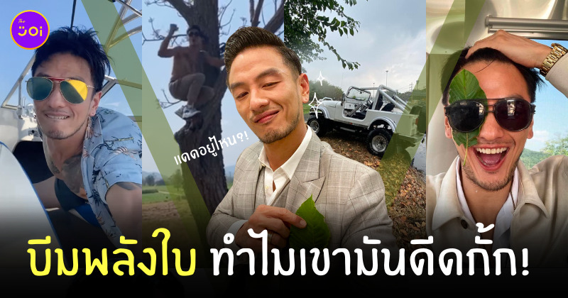 บีมพลังใบ