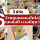 เคสมงคล