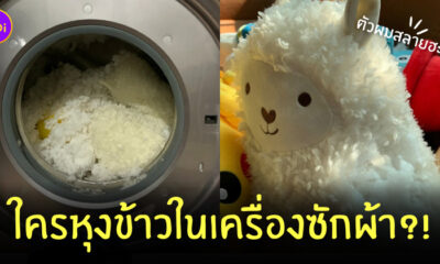 หุงข้าวในเครื่องซักผ้า