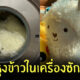 หุงข้าวในเครื่องซักผ้า