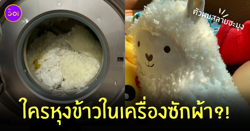 หุงข้าวในเครื่องซักผ้า