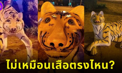 ชาวเน็ตเวียดนามโวยวายรูปปั้นเสือพิการ จนต้องสั่งยกออกจากโชว์