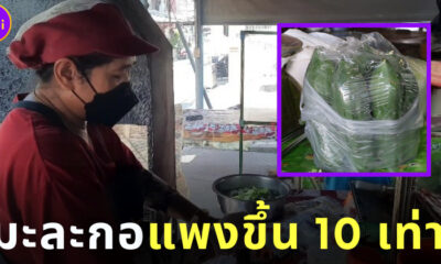 มะละกอแพงขึ้น 10 เท่า