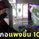 มะละกอแพงขึ้น 10 เท่า