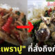หนุ่มสั่งกะเพราปูแต่ได้กะเพราะปูเค็ม