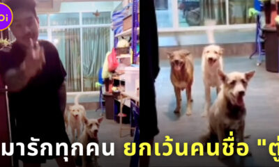 หมารักทุกคน ยกเว้นคนชื่อตู่