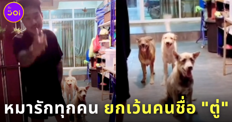 หมารักทุกคน ยกเว้นคนชื่อตู่