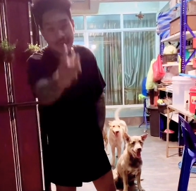 หมาเกลียดตู่2