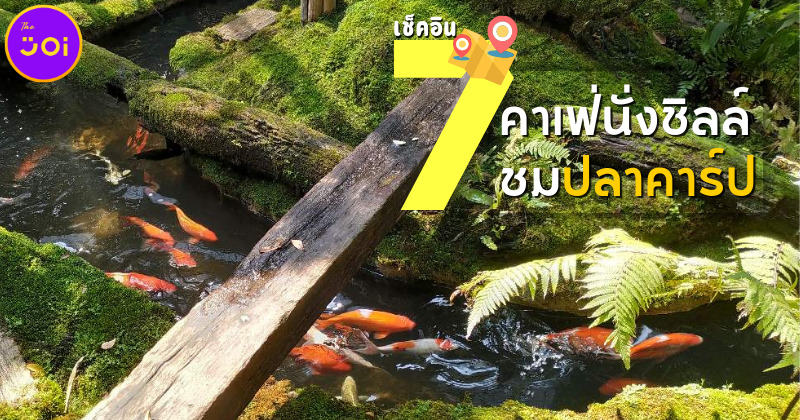 เช็คอิน 7 คาเฟ่นั่งชิลล์ชมปลาคาร์ป มีมุมถ่ายรูปสวย อาหารก็อร่อย