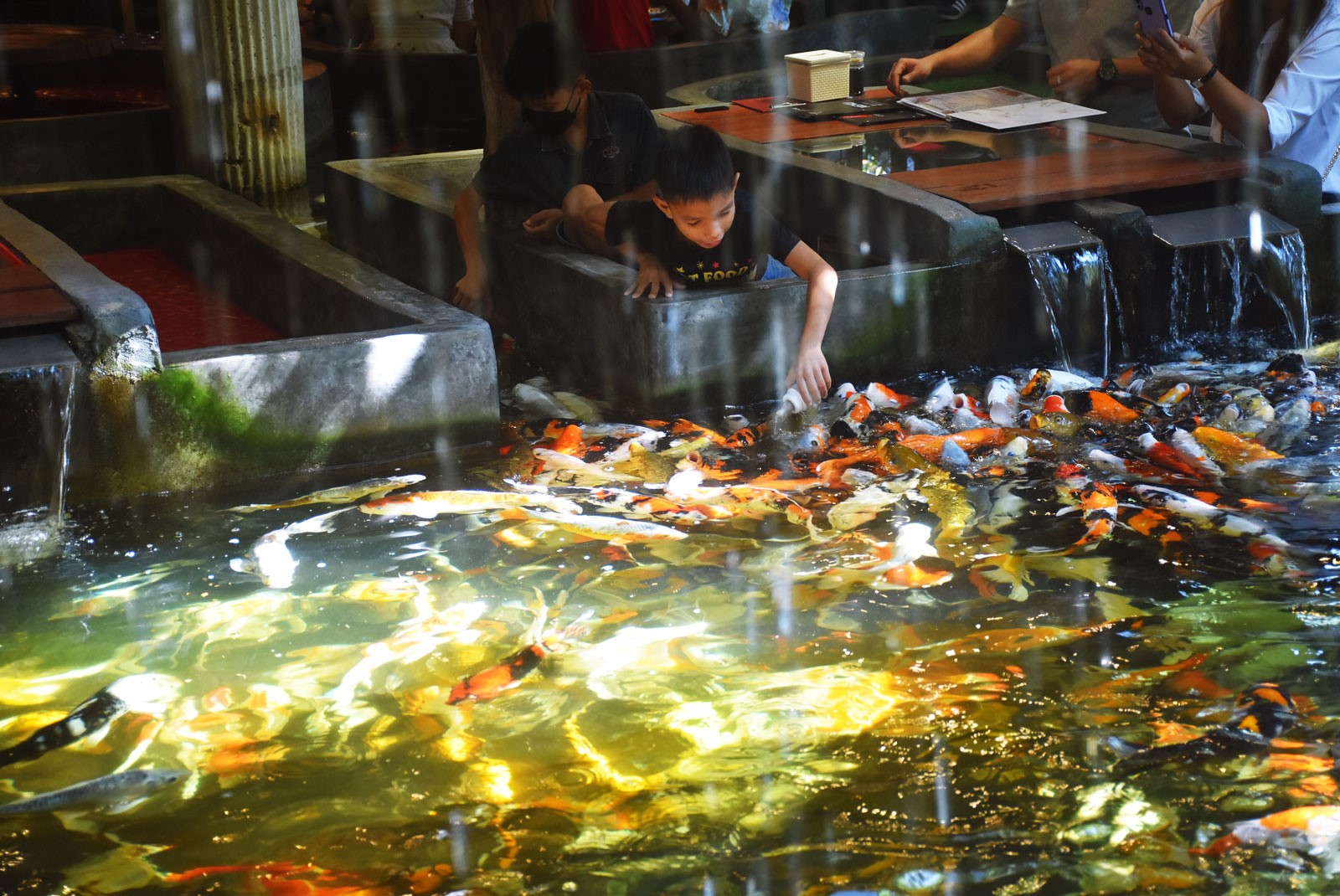 Carp Cafe 2