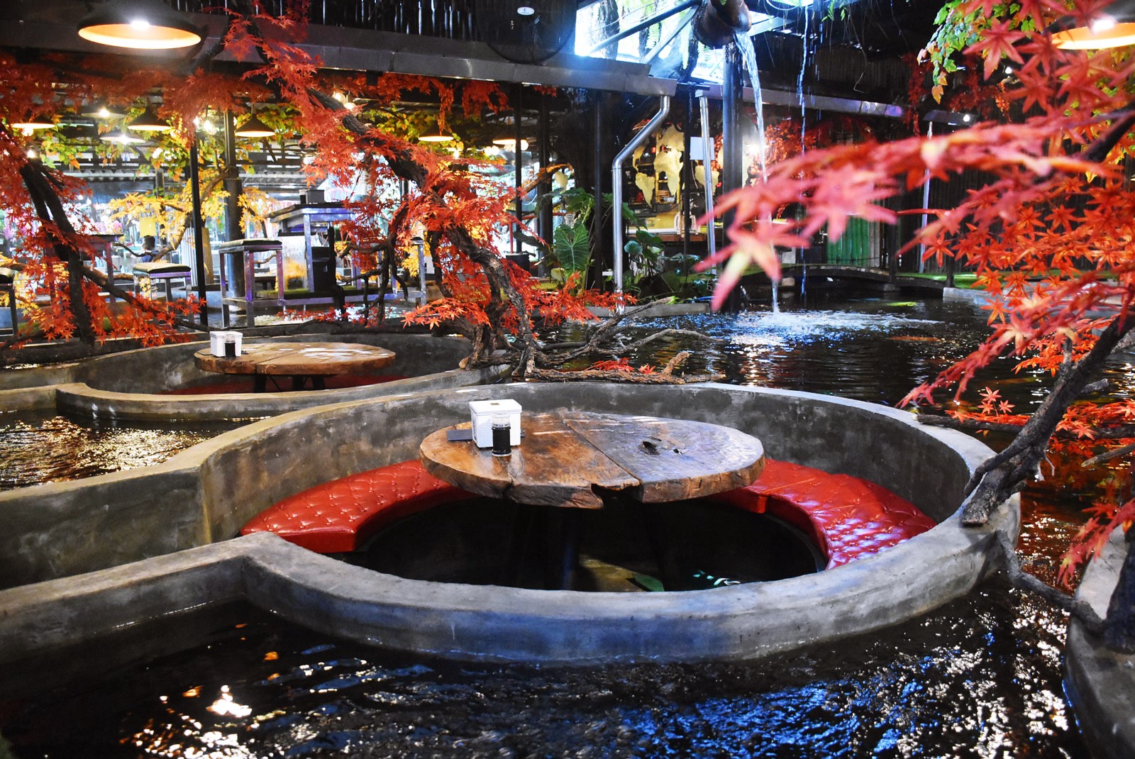 Carp Cafe