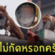 Fleem Template The Joi FBWebsite 14