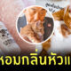 น้ำหอมกลิ่นหัวแมว