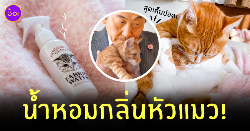 น้ำหอมกลิ่นหัวแมว