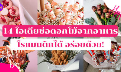 Fleem Template The Joi FBWebsite 3 4