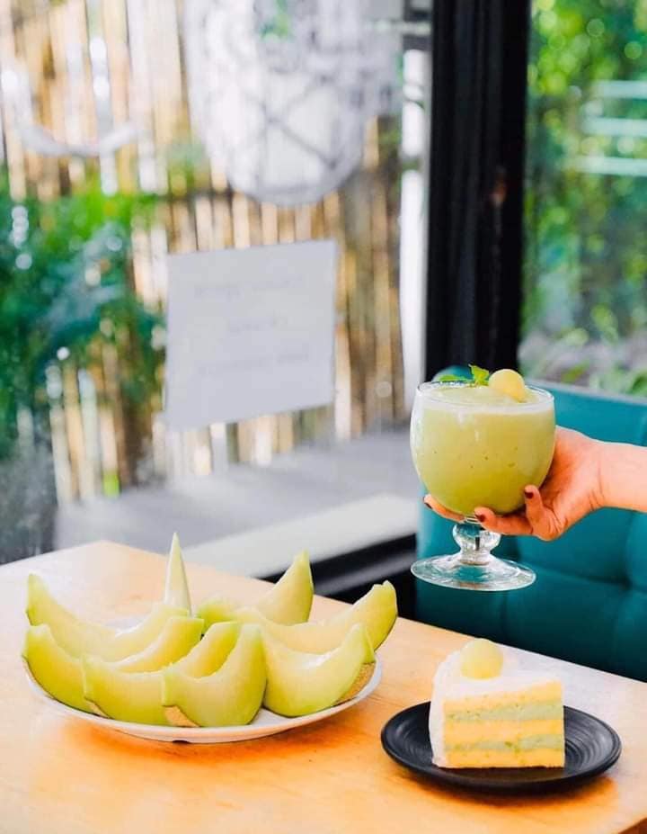 Sangtawanfarm Melon