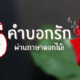 สีดอกกุหลาบ