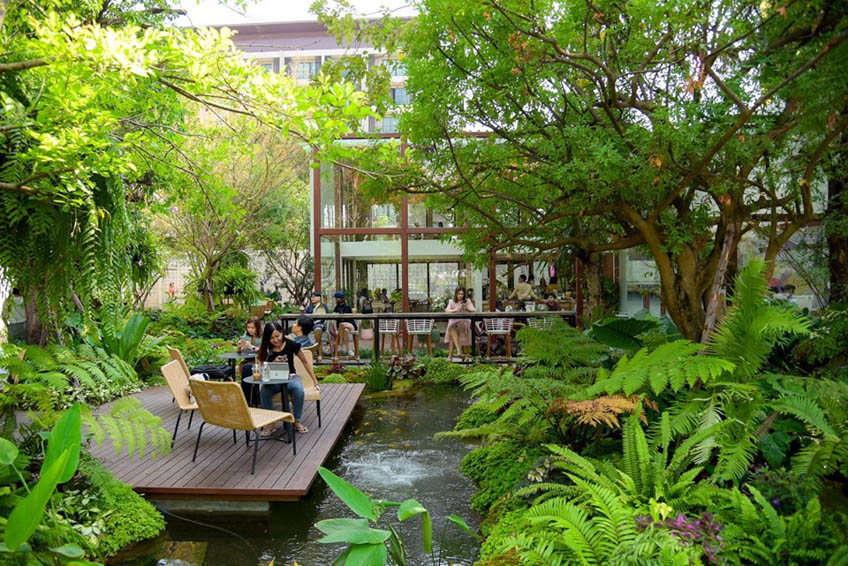 Camin Cafe and Cuisine