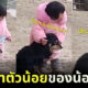 คลิปไวรัล หนูน้อยชาวจีนปลอบน้องหมากลัวเสียงประทัดสุดน่ารัก