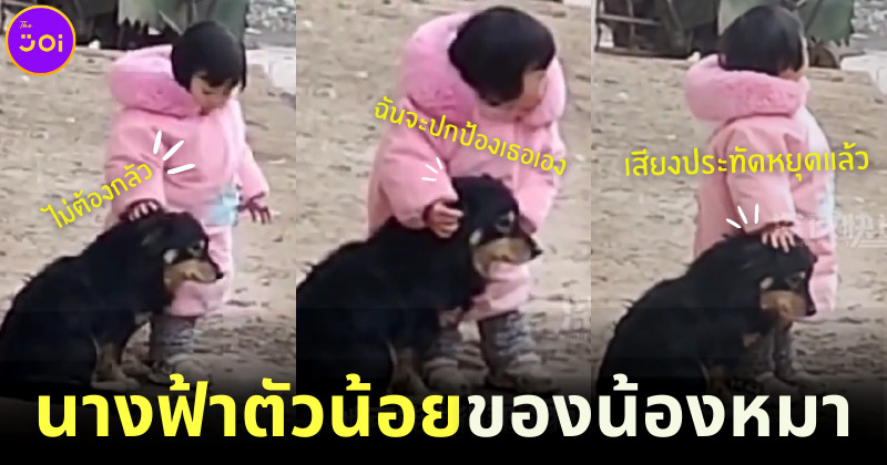 คลิปไวรัล หนูน้อยชาวจีนปลอบน้องหมากลัวเสียงประทัดสุดน่ารัก