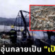 ชายจีนตั้งเตาผิงในเล้าเป็ดหวังให้ความอบอุ่น ตื่นมาช็อก! กลายเป็นเป็ดย่างยกเล้า