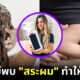 นักวิจัยนอร์เวย์พบ ขวดแชมพูสระผม ทำให้อ้วนได้