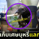 สตาร์ทอัพฝรั่งเศสสอนอีกาเก็บบุหรี่แลกอาหาร 3