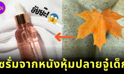 ฮอลลีวูดฮิต เซรั่มหนังหุ้มปลายอวัยวะเพสเด็กแรกเกิด ช่วยหน้าใส