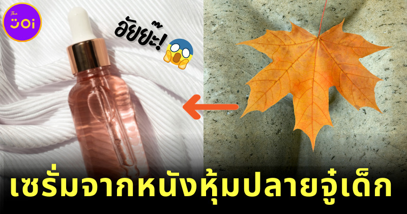 ฮอลลีวูดฮิต เซรั่มหนังหุ้มปลายอวัยวะเพสเด็กแรกเกิด ช่วยหน้าใส