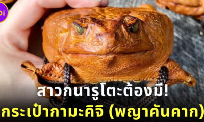 เทรนด์กำลังมา! กระเป๋ากามะคิจิ กระเป๋าคางคกที่สาวกนารูโตะต้องมี