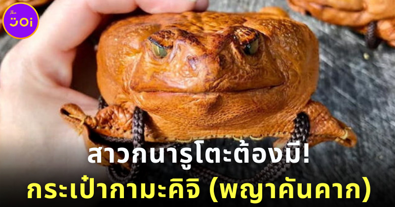 เทรนด์กำลังมา! กระเป๋ากามะคิจิ กระเป๋าคางคกที่สาวกนารูโตะต้องมี
