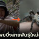 โจโฉพบบึ้งสายพันธุ์ใหม่ของโลกในไทย