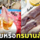 โซเชียลวิจารณ์คนฮิตกิน หมึกช็อต อร่อยหรือทรมานสัตว์
