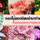7 ดอกไม้ยอดนิยมทำพวงหรีด