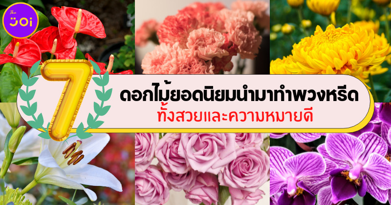 7 ดอกไม้ยอดนิยมทำพวงหรีด