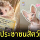 Fleem Template The Joi FBWebsite 1 2