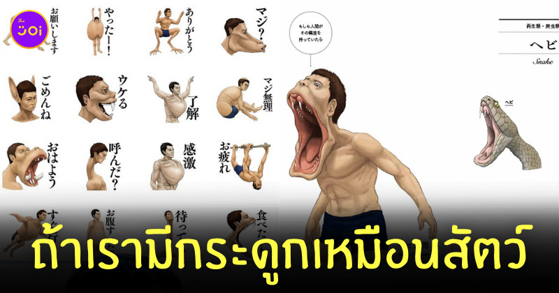 มนุษย์มีกระดูกเหมือนสัตว์