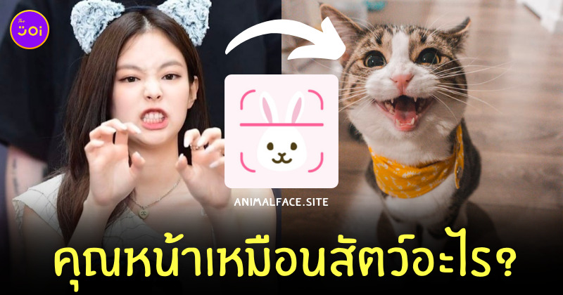 animalface.site หน้าเหมือนสัตว์อะไร