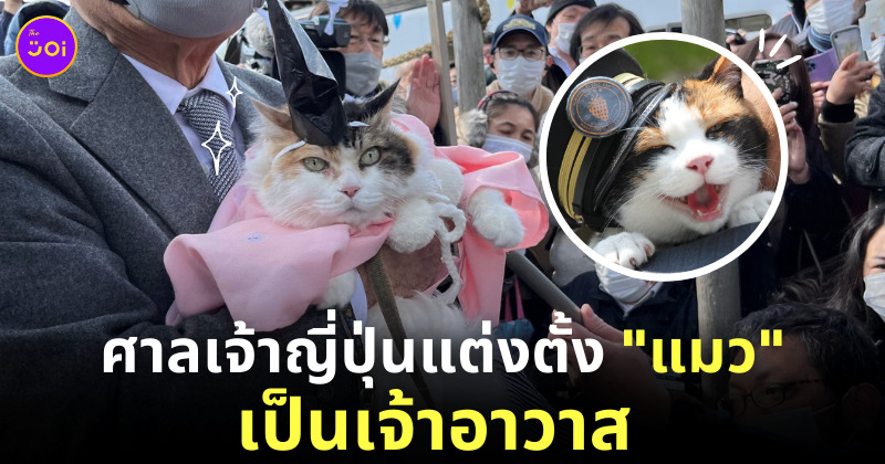 แมวเป็นเจ้าอาวาส ญี่ปุ่น