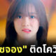 Fleem Template The Joi FBWebsite 8 1 1