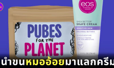 นำขนมาแลกครีม