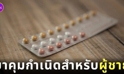 ยาคุมกำเนิดผู้ชาย