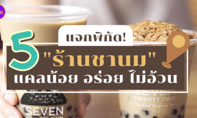 ร้านชานม แคลต่ำ