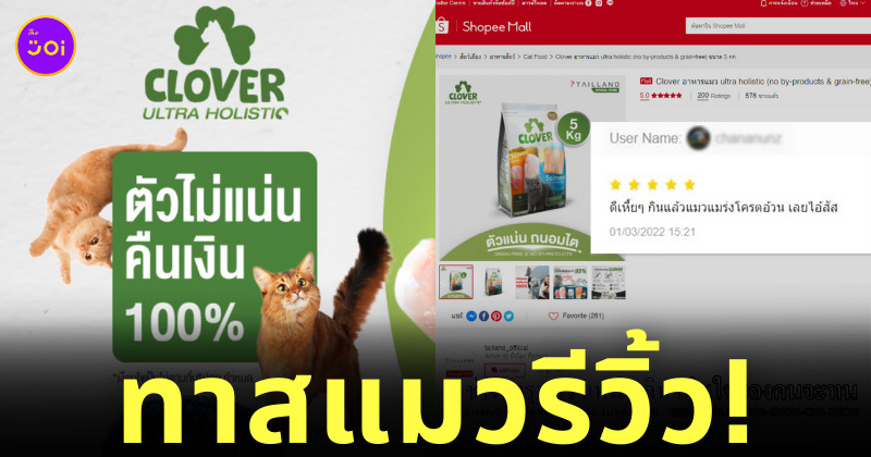 รีวิวอาหารแมว clover