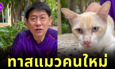 สรยุทธ เจอแมวจร