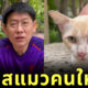 สรยุทธ เจอแมวจร